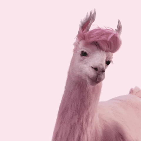 lama
